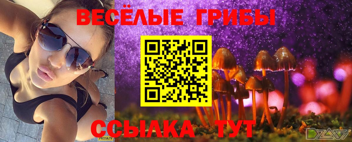 Псилоцибиновые грибы MAGIC MUSHROOMS Киселёвск