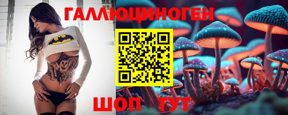 Псилоцибиновые грибы GOLDEN TEACHER  Вход с VPN  Киселёвск 